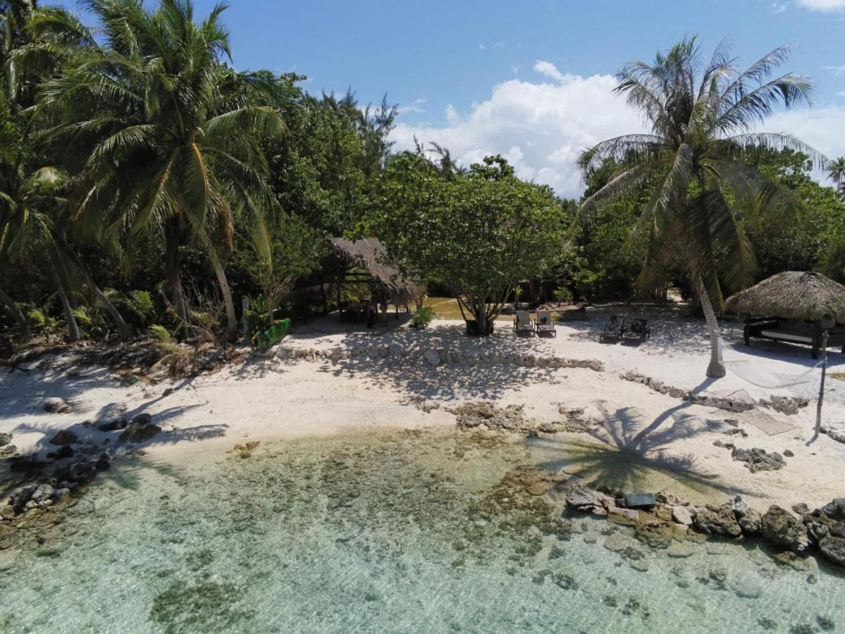 Le Coconut Lodge Avatoru Exterior foto